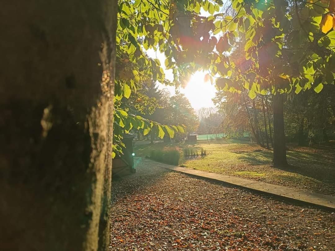 Deja Vu Szallas & Rendezveny Zirc Bagian luar foto